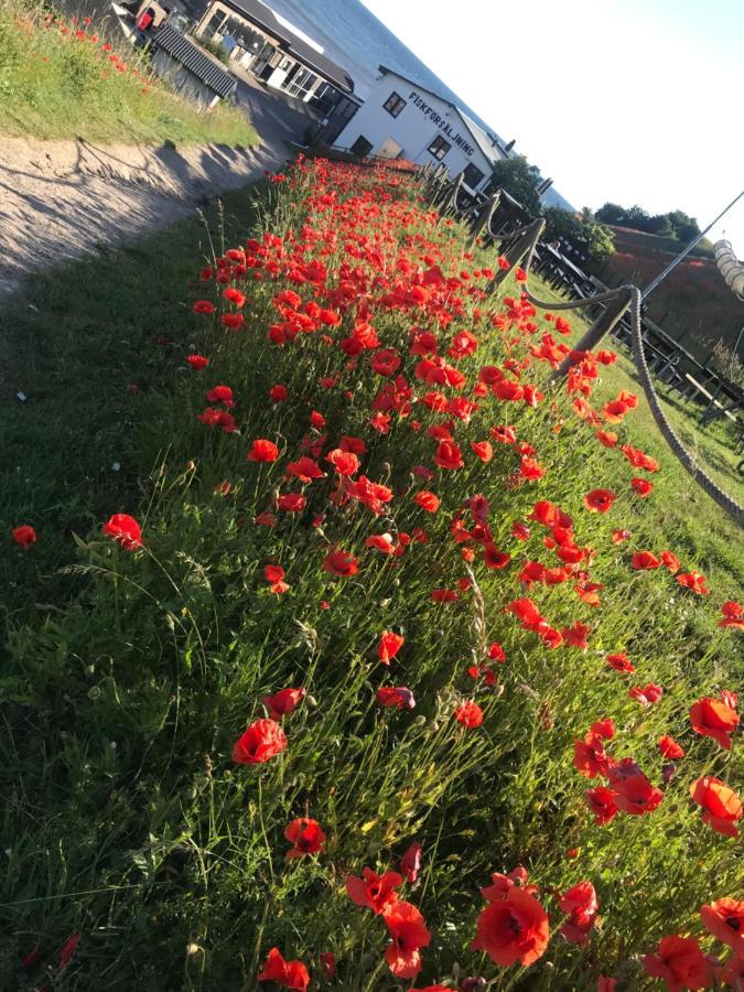 Botanikerns Hus Villa Löderup Eksteriør bilde