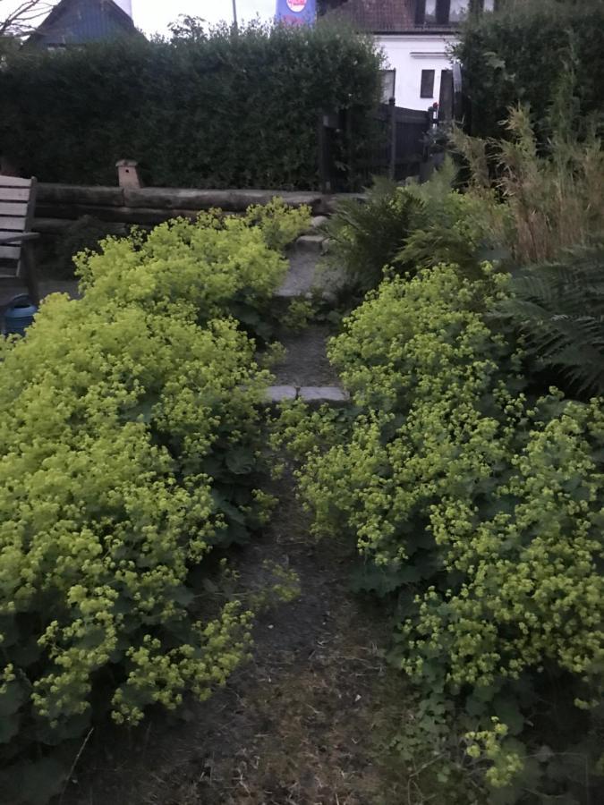 Botanikerns Hus Villa Löderup Eksteriør bilde
