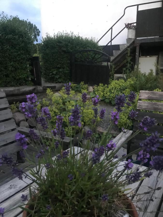 Botanikerns Hus Villa Löderup Eksteriør bilde